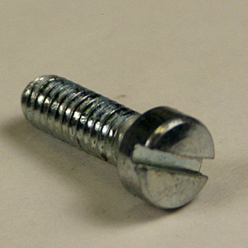 Screw - License Lens Retainer - 55/56 - Order 2 Per car